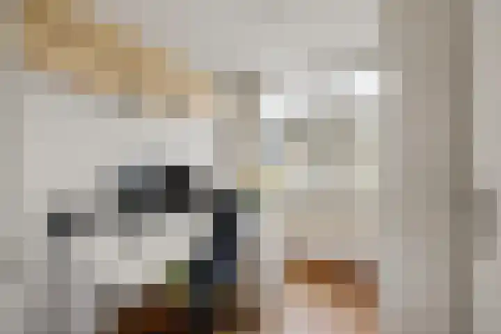 Pastoor Heggelaan 17 Bunnik thumbnail 19