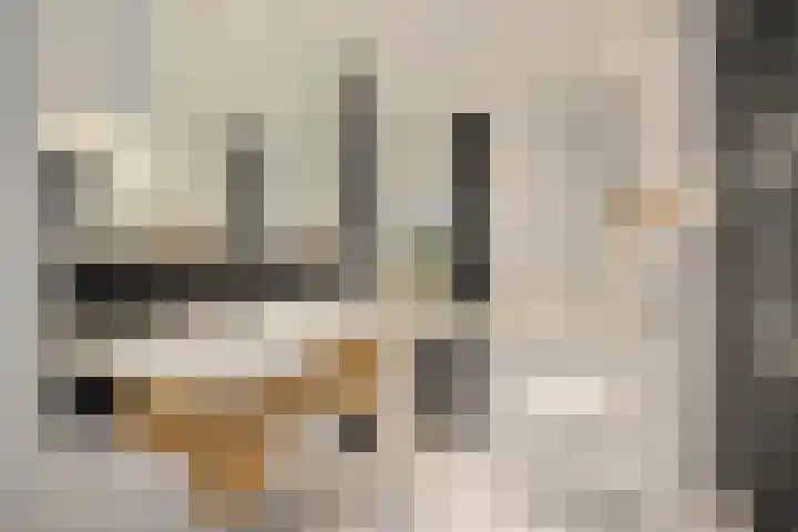 Pastoor Heggelaan 17 Bunnik thumbnail 22