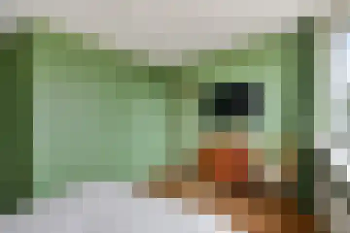 Pastoor Heggelaan 17 Bunnik thumbnail 24