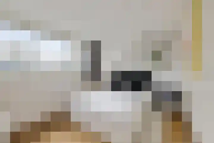 Pastoor Heggelaan 17 Bunnik thumbnail 32