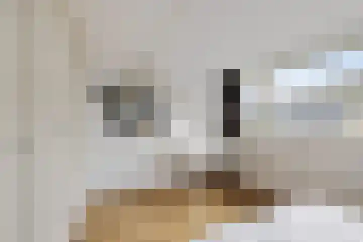 Pastoor Heggelaan 17 Bunnik thumbnail 33