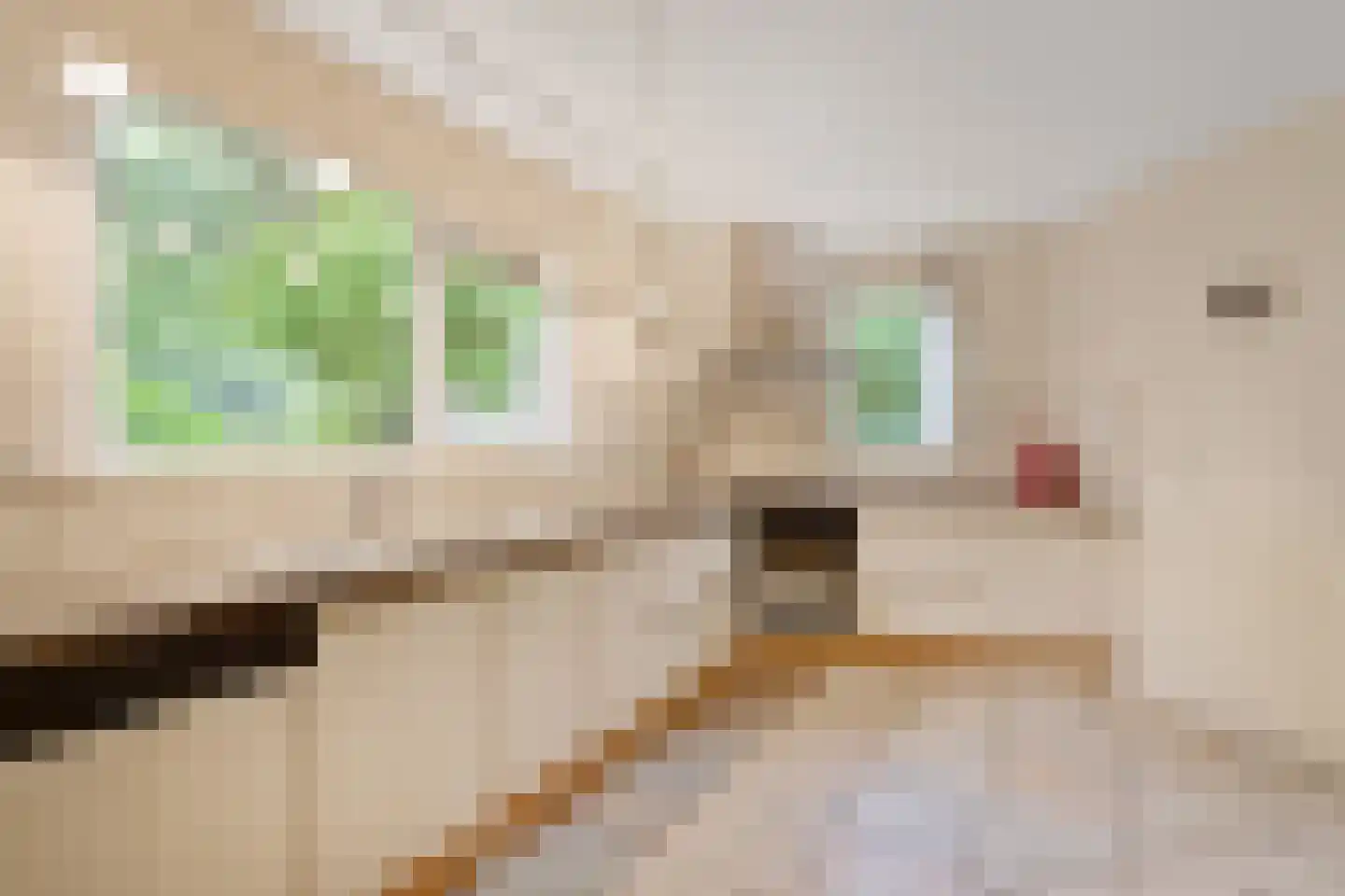 Pastoor Hendrikspark 103 Laren thumbnail 12