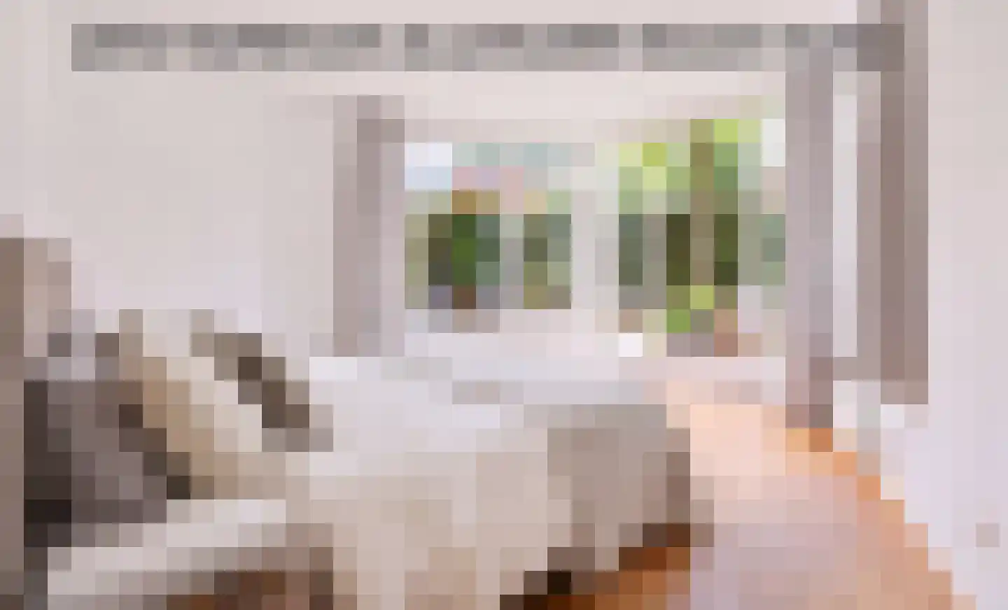 Pastoor Hendrikspark 103 Laren thumbnail 17