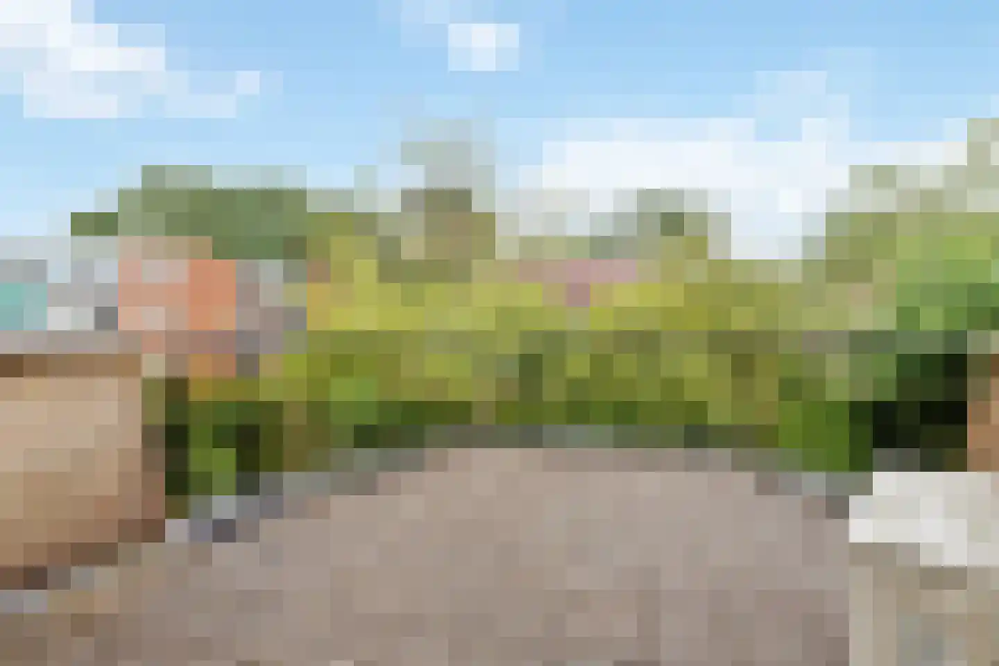 Pastoor Hendrikspark 103 Laren thumbnail 24