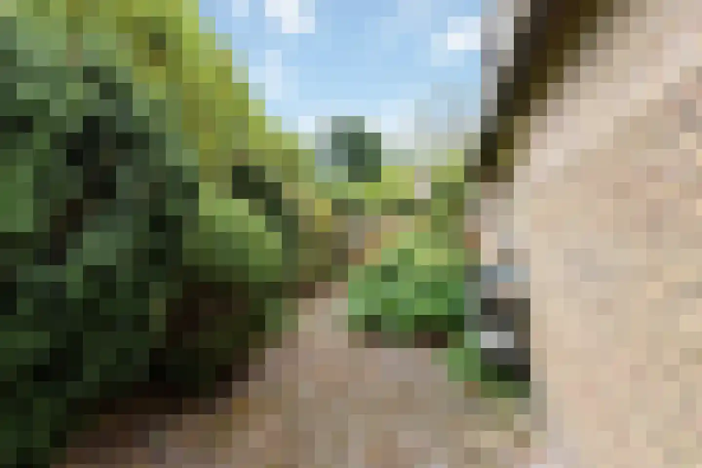 Pastoor Hendrikspark 103 Laren thumbnail 33
