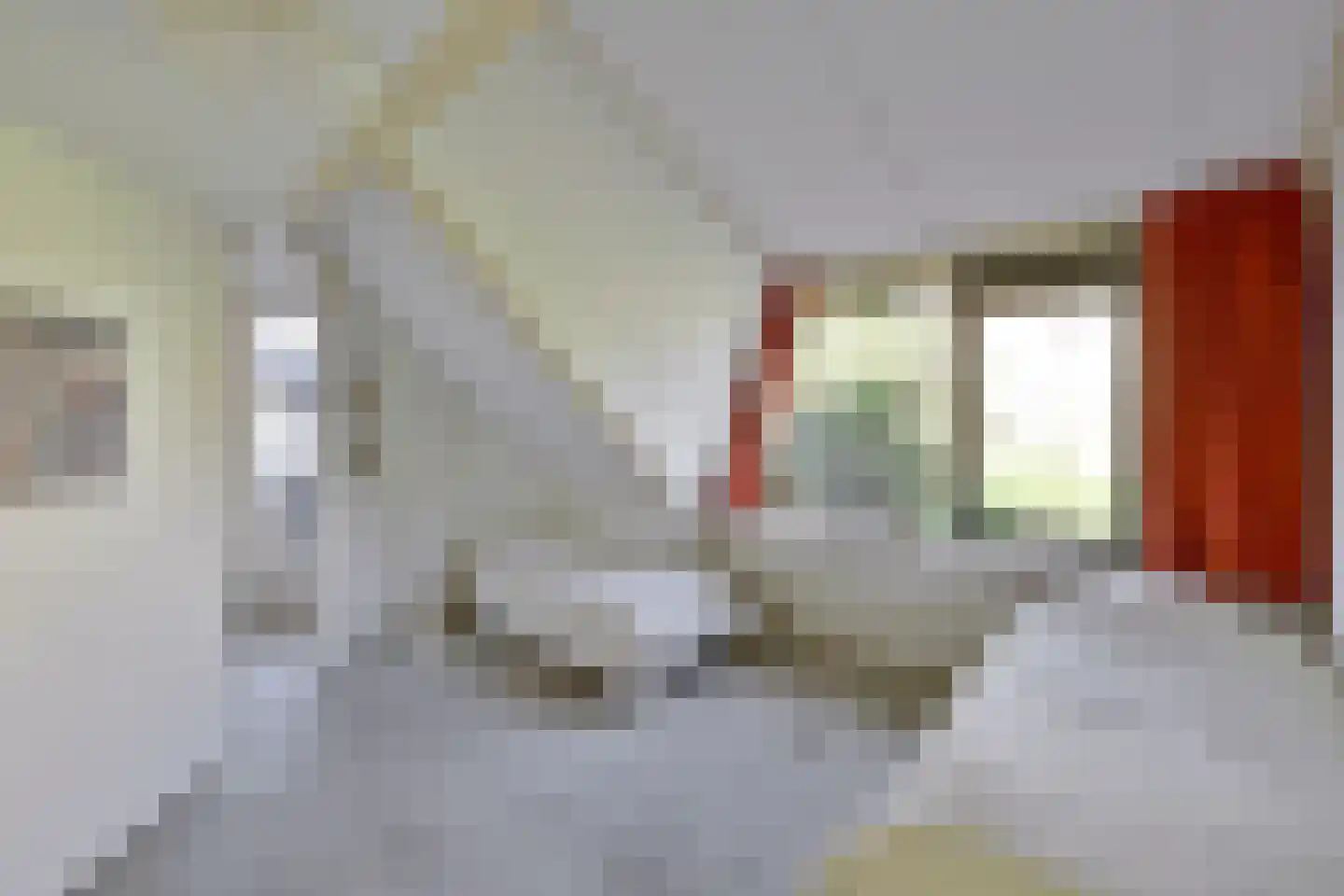 Pastoor Hendrikspark 109 Laren thumbnail 18