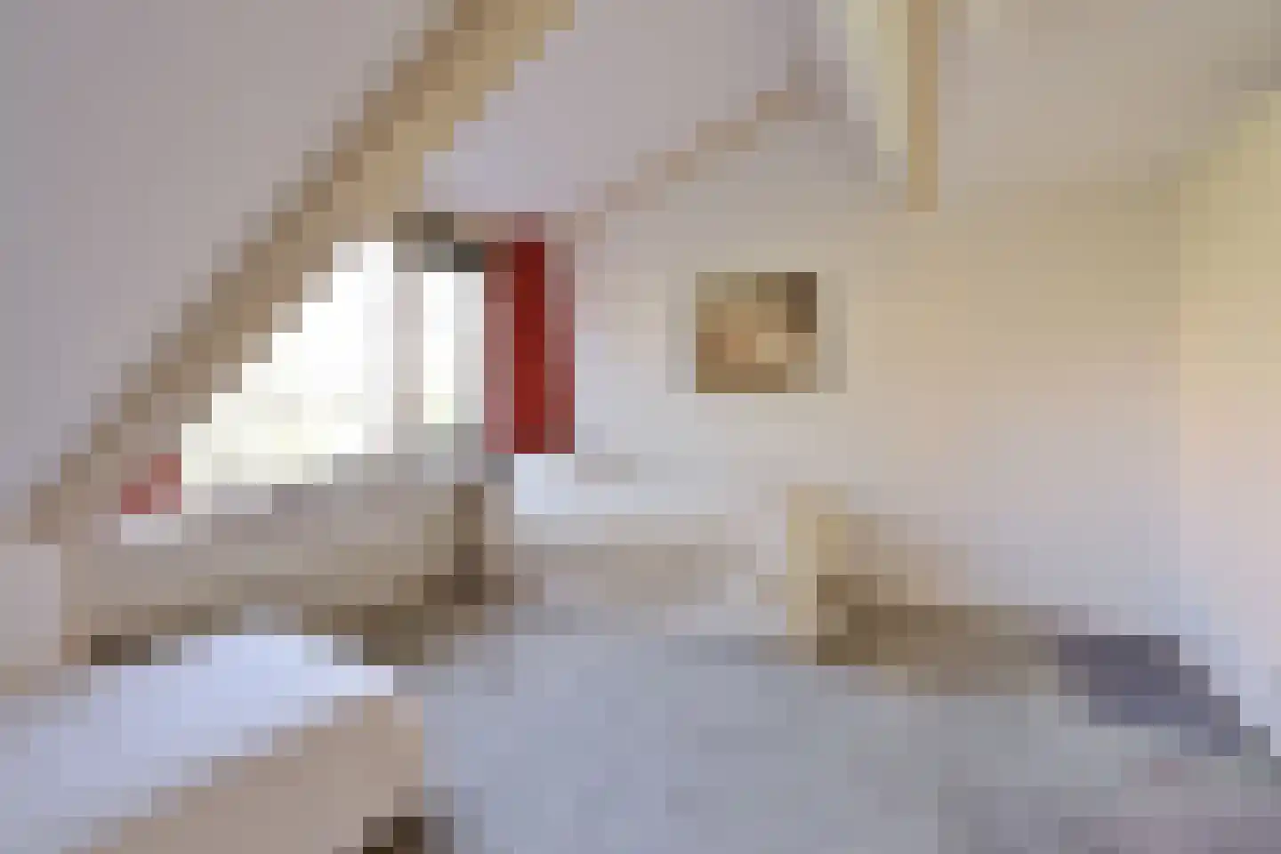 Pastoor Hendrikspark 109 Laren thumbnail 19