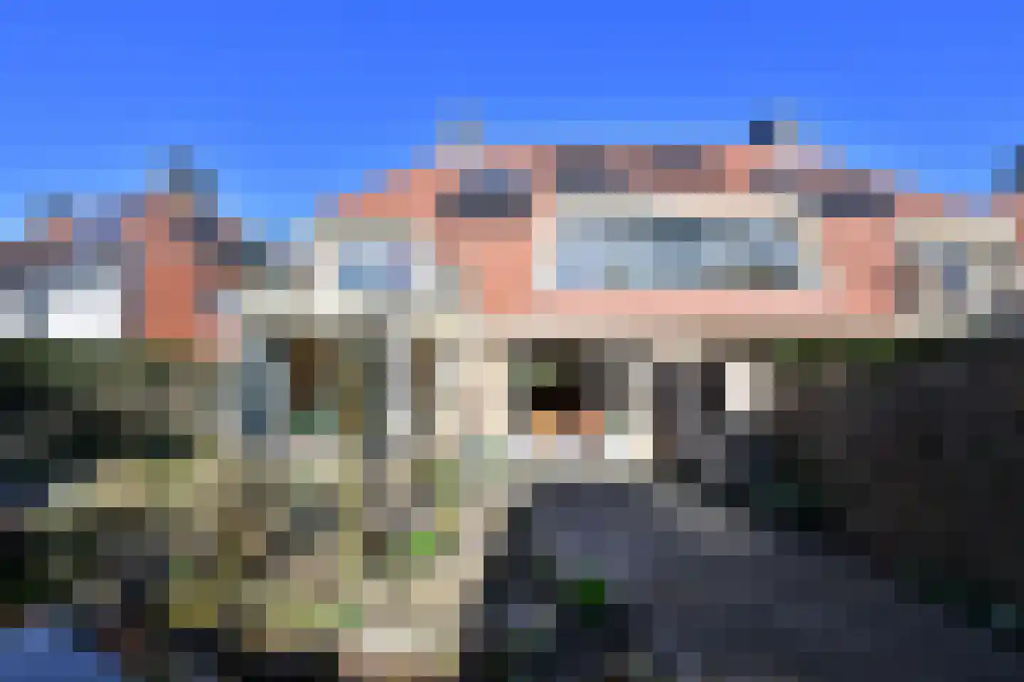 Pastoor Hendrikspark 109 Laren thumbnail 26