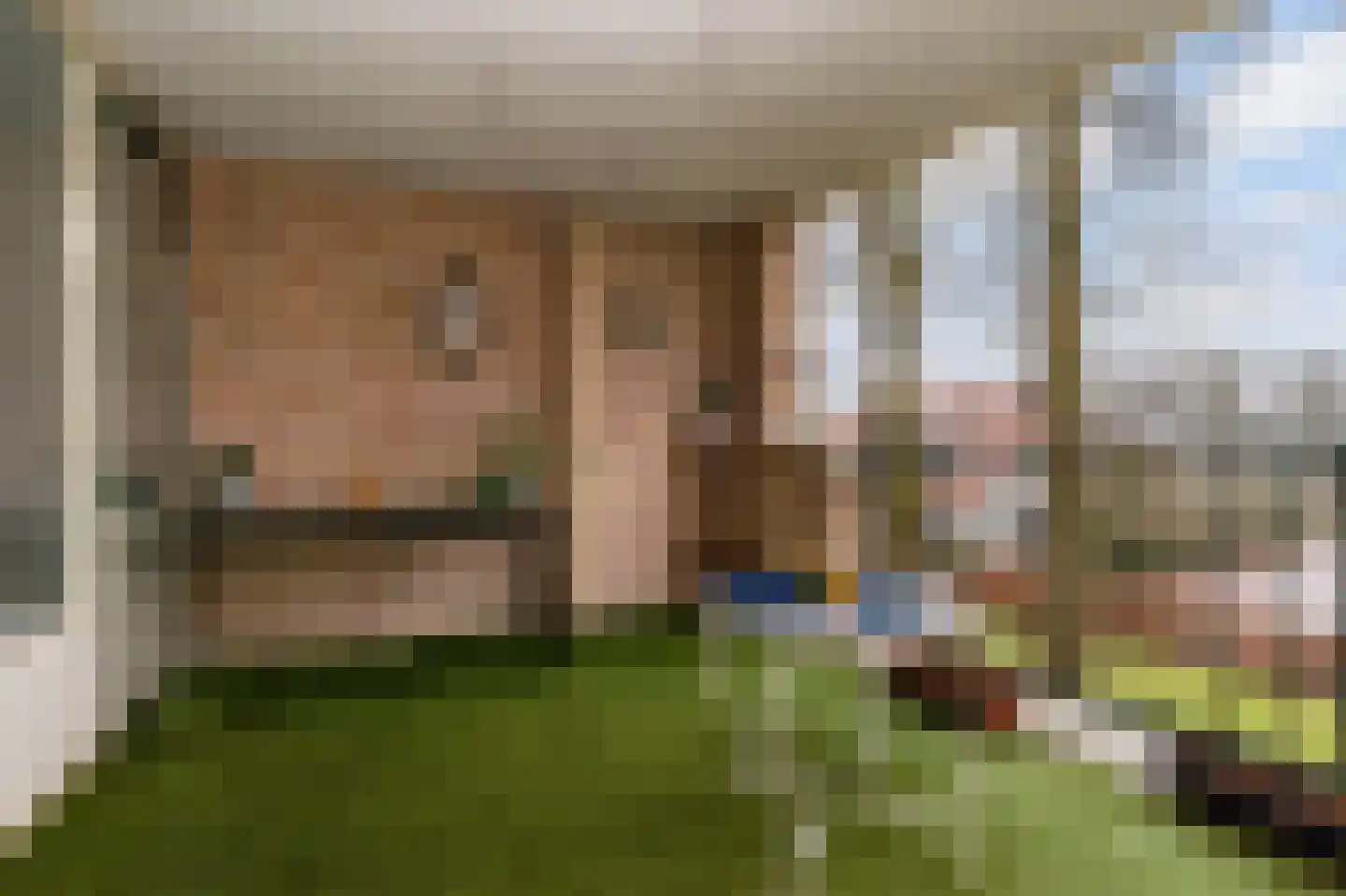 Pastoor Hendrikspark 35 Laren thumbnail 10