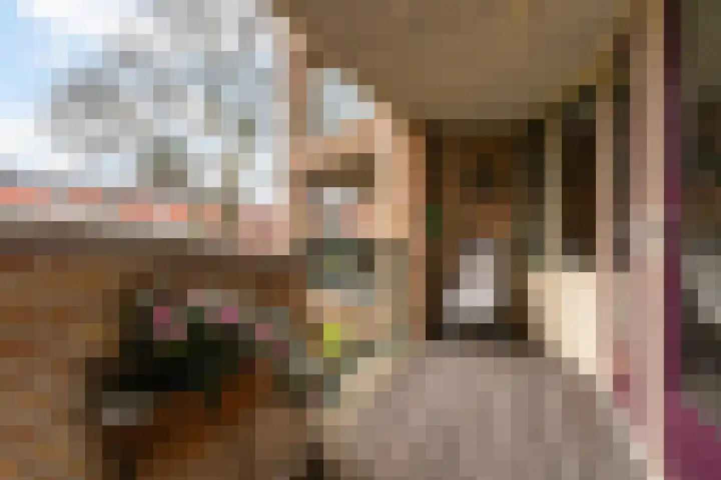 Pastoor Hendrikspark 35 Laren thumbnail 17