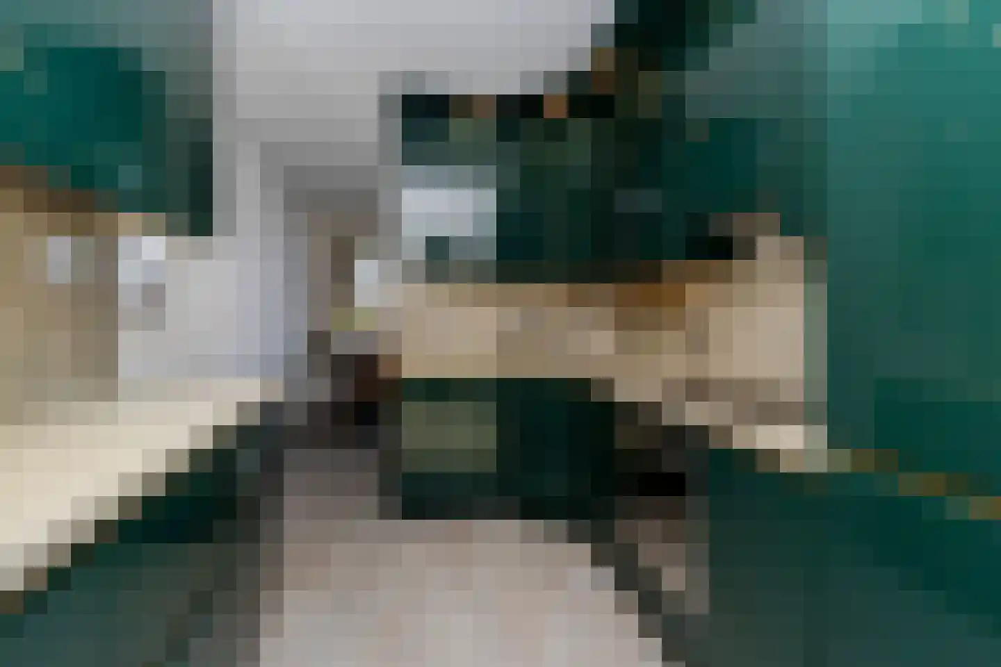 Pastoor Hendrikspark 35 Laren thumbnail 8