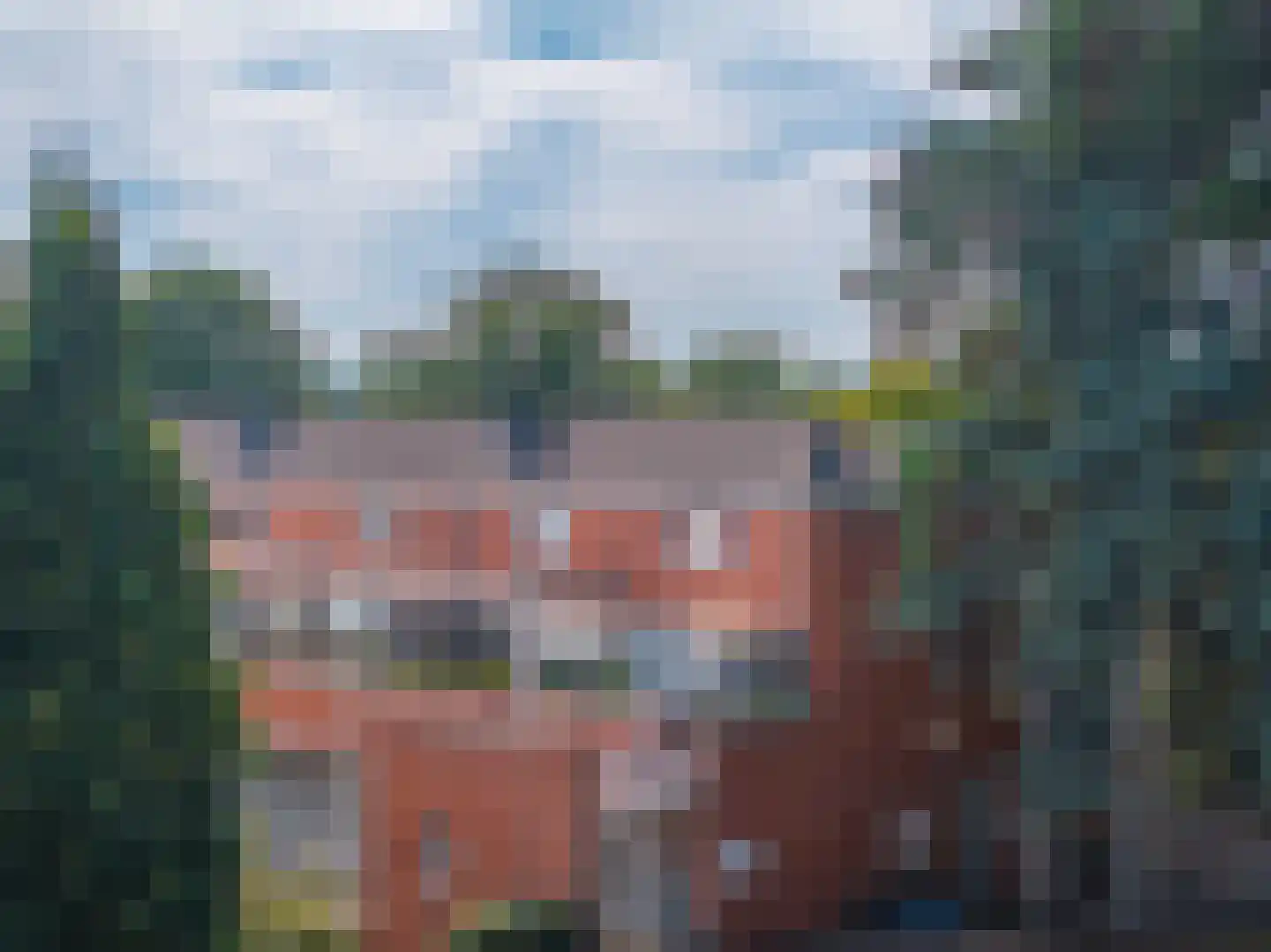 Pastoor Hendrikspark 48 Laren thumbnail 39