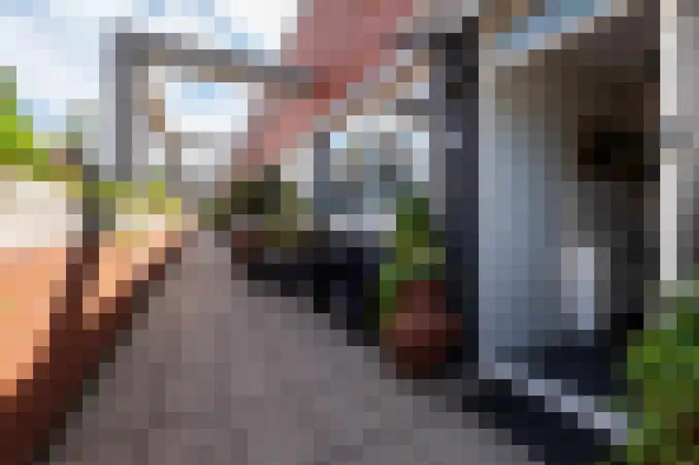 Pastoor Hendrikspark 48 Laren thumbnail 7