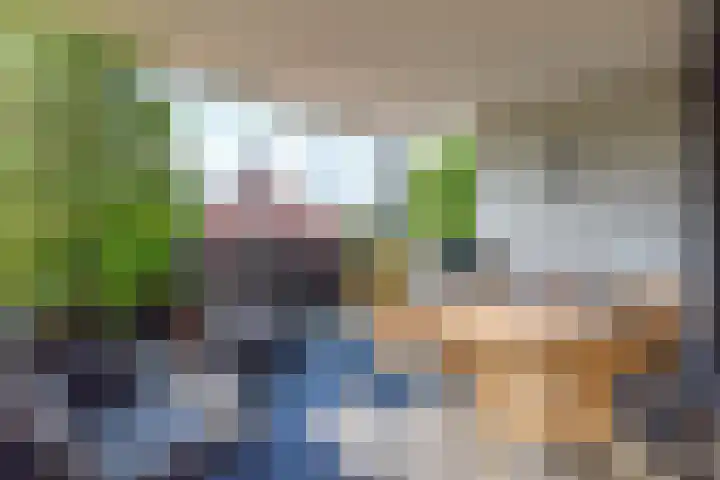 Pastoor Hendrikspark 51 d Laren thumbnail 14
