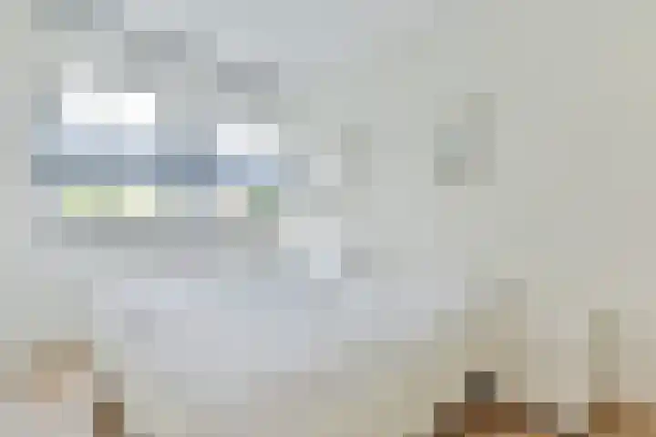 Pastoor Hendrikspark 51 d Laren thumbnail 24