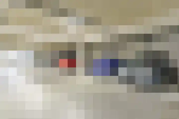 Pastoor Hendrikspark 51 d Laren thumbnail 29
