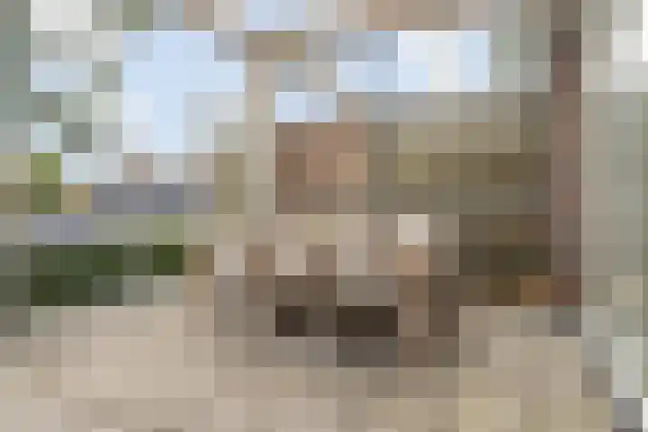 Pastoor Hendrikspark 52 Laren thumbnail 11