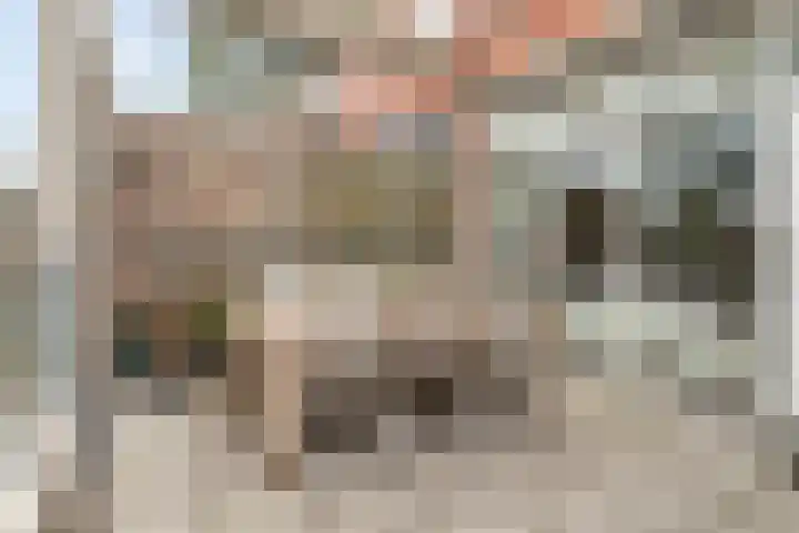 Pastoor Hendrikspark 52 Laren thumbnail 12