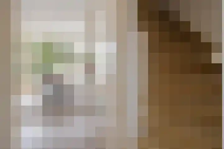 Pastoor Hendrikspark 52 Laren thumbnail 13