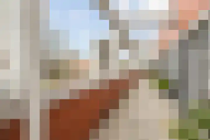 Pastoor Hendrikspark 52 Laren thumbnail 22