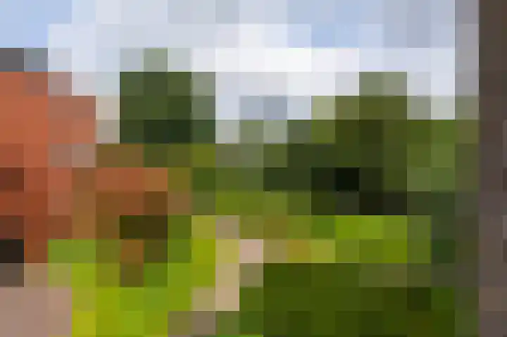 Pastoor Hendrikspark 53 c Laren thumbnail 13