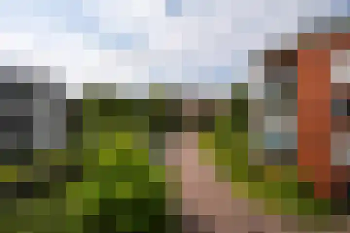 Pastoor Hendrikspark 53 c Laren thumbnail 14