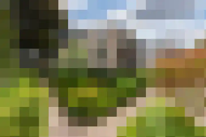 Pastoor Hendrikspark 53 c Laren thumbnail 29