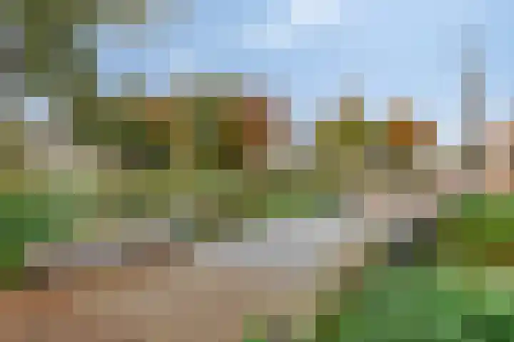 Pastoor Hoekx-singel 139 Rosmalen thumbnail 34