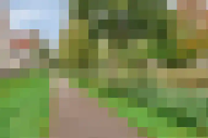 Pastoor Hoekx-singel 139 Rosmalen thumbnail 37