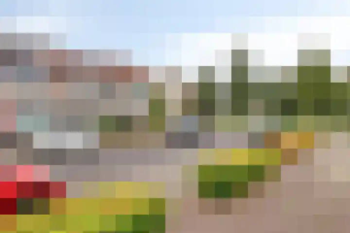 Pastoor Hoekx-singel 139 Rosmalen thumbnail 5