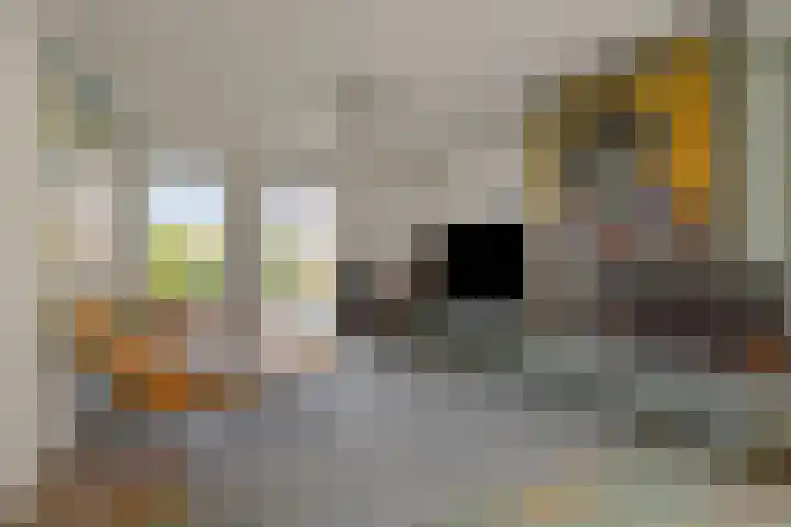 Pastoor Hoekx-singel 14 Rosmalen thumbnail 10