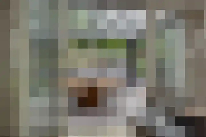 Pastoor Hoekx-singel 14 Rosmalen thumbnail 15