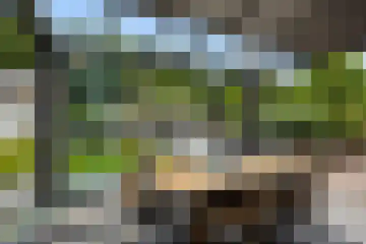 Pastoor Hoekx-singel 14 Rosmalen thumbnail 16