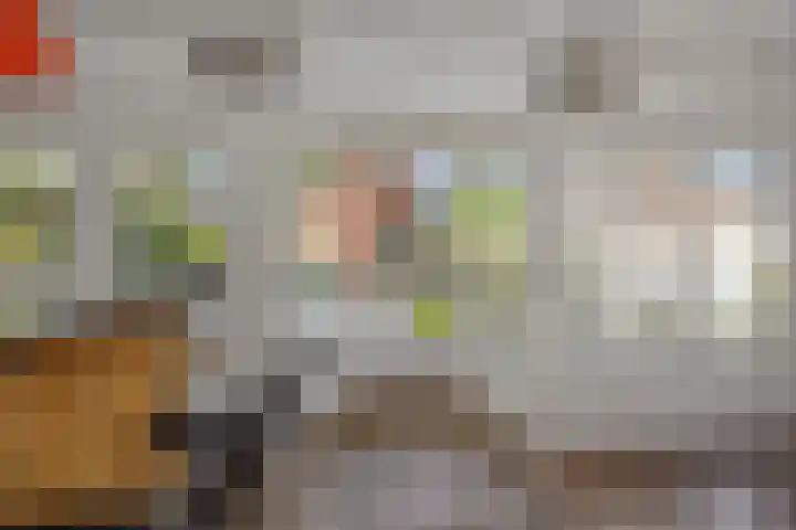 Pastoor Hoekx-singel 14 Rosmalen thumbnail 19