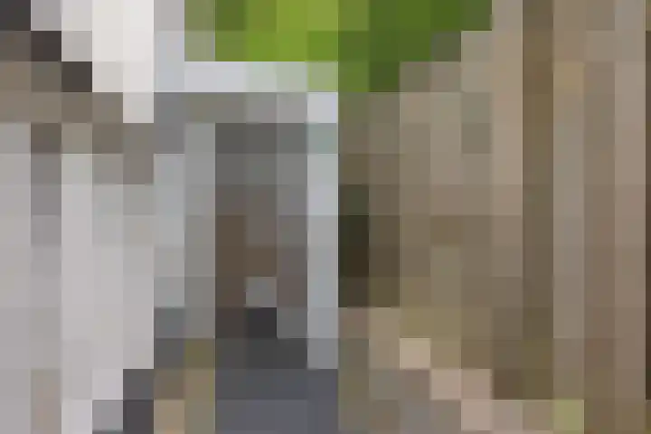 Pastoor Hoekx-singel 14 Rosmalen thumbnail 22