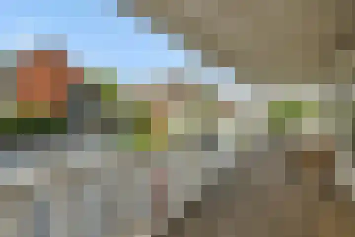 Pastoor Hoekx-singel 14 Rosmalen thumbnail 23