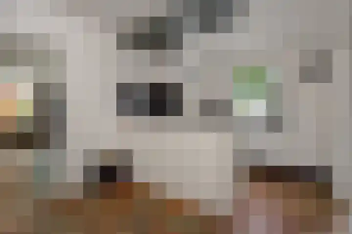 Pastoor Hoekx-singel 14 Rosmalen thumbnail 26