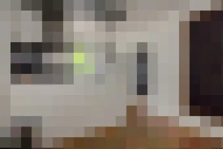 Pastoor Hoekx-singel 14 Rosmalen thumbnail 29