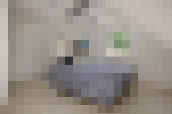 Pastoor Hoekx-singel 14 Rosmalen thumbnail 34