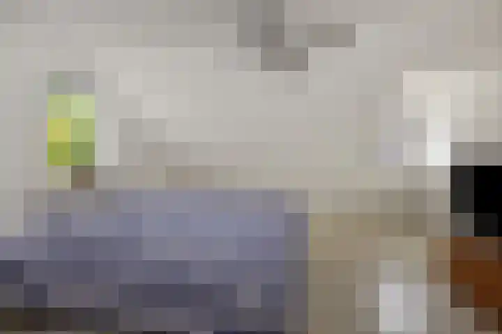 Pastoor Hoekx-singel 14 Rosmalen thumbnail 35