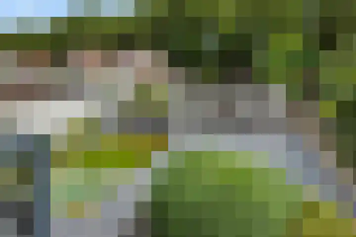 Pastoor Hoekx-singel 14 Rosmalen thumbnail 36
