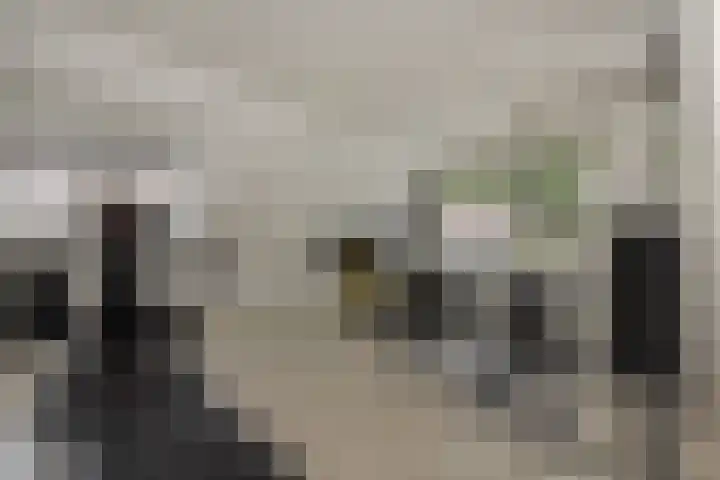 Pastoor Hoekx-singel 14 Rosmalen thumbnail 37