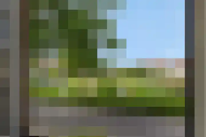 Pastoor Hoekx-singel 14 Rosmalen thumbnail 42