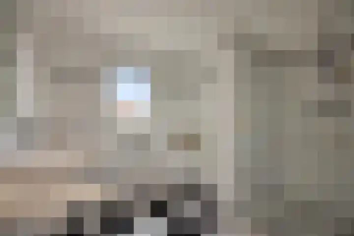 Pastoor Hoekx-singel 14 Rosmalen thumbnail 43