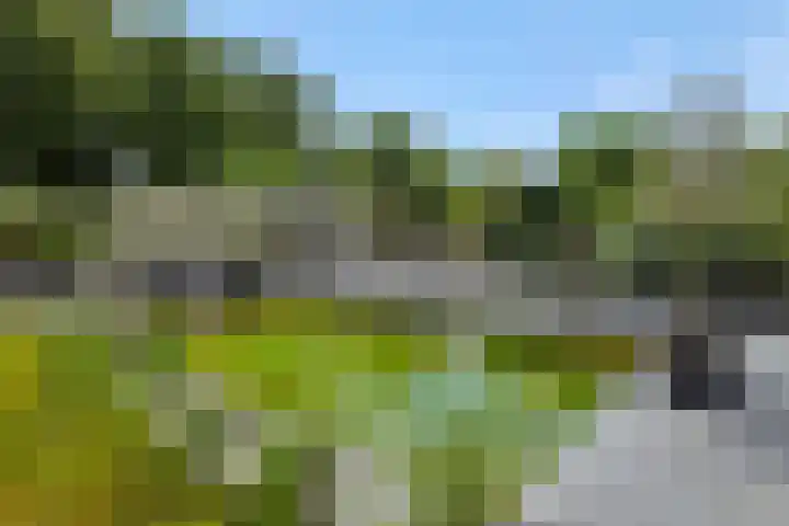 Pastoor Hoekx-singel 14 Rosmalen thumbnail 5