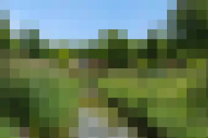 Pastoor Hoekx-singel 14 Rosmalen thumbnail 51