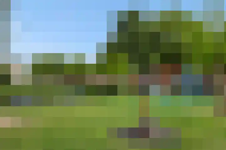 Pastoor Hoekx-singel 14 Rosmalen thumbnail 52