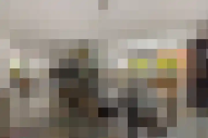Pastoor Hoekx-singel 14 Rosmalen thumbnail 8