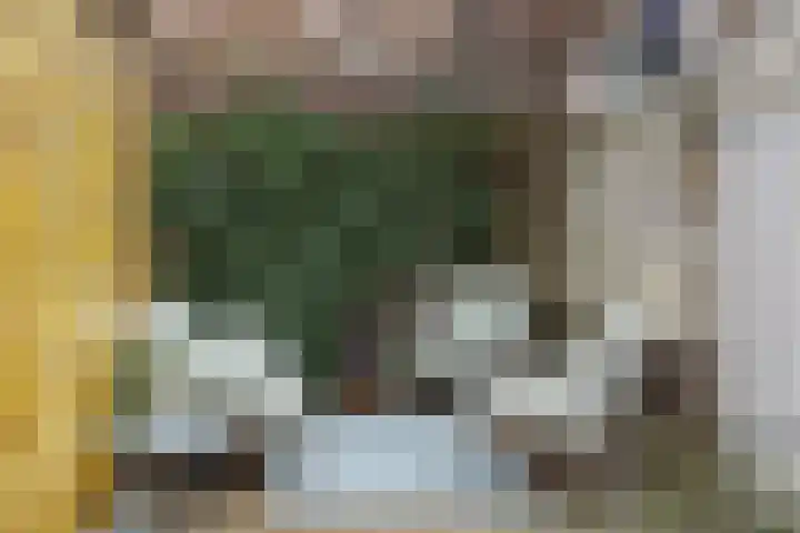 Pastoor Hoekx-singel 151 Rosmalen thumbnail 32