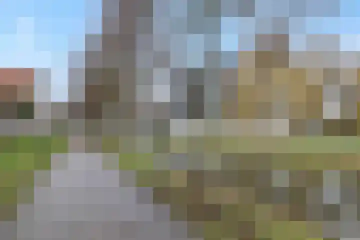 Pastoor Hoekx-singel 151 Rosmalen thumbnail 36